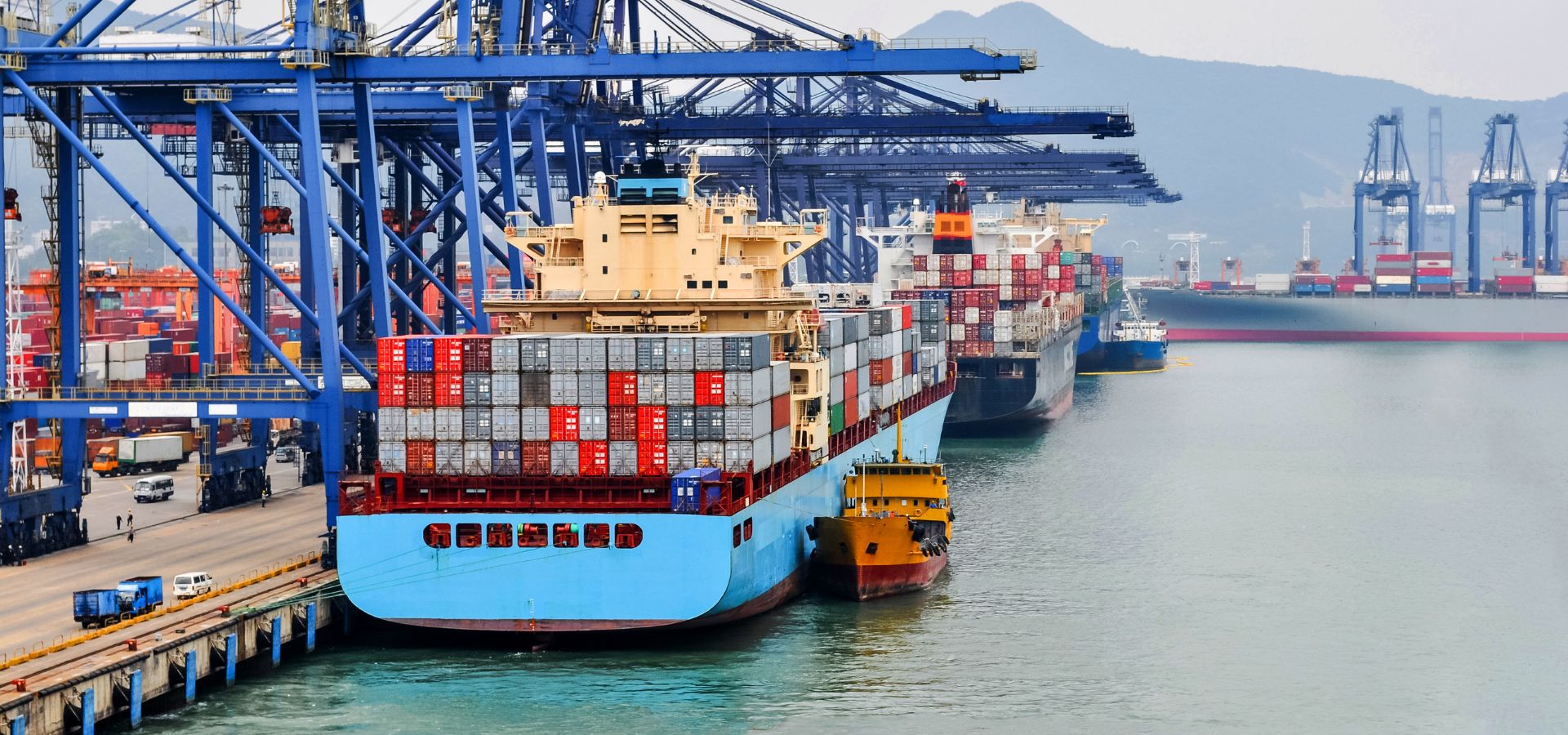 Cargo Unloading at Indian Port